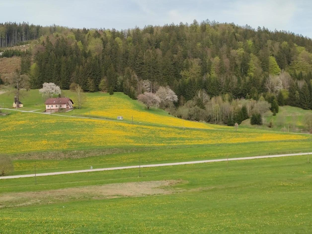 Schoeller Apartment Schonbach