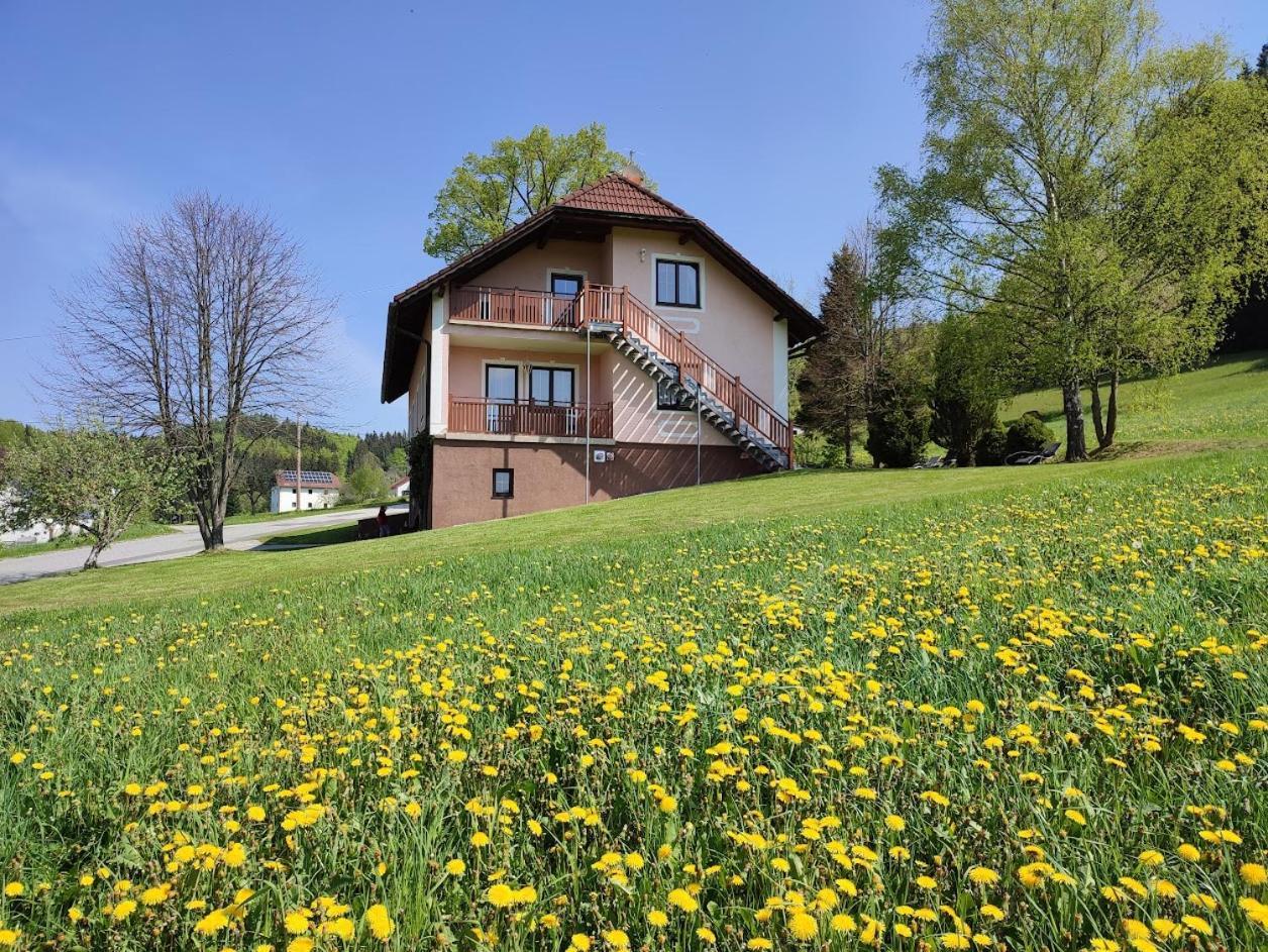 Schoeller Apartment Schonbach